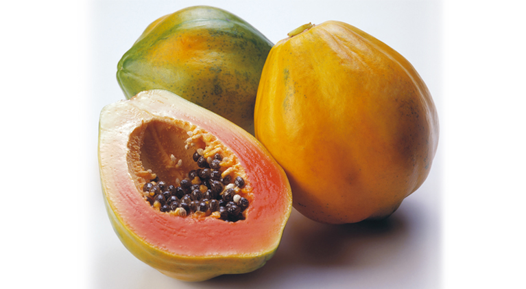 Endura-Fresh 6100 - Schutzschicht für Papaya | JBT FoodTech
