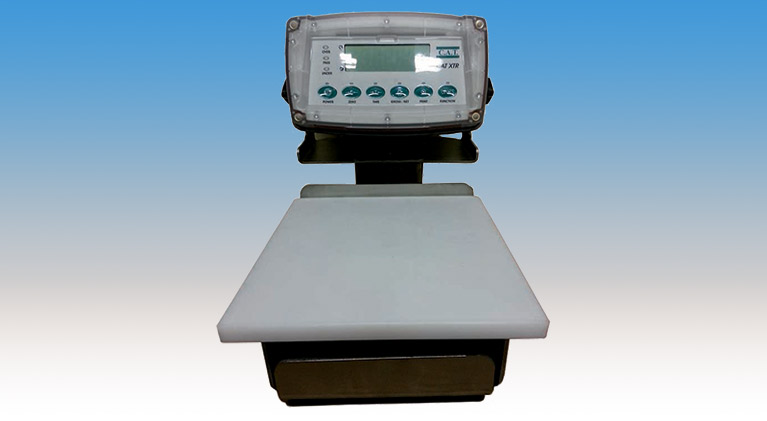 C.A.T. 20″ x 20″ Bench Weighing Scale - JBT