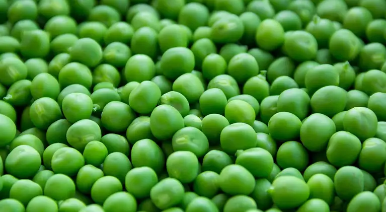 Pea