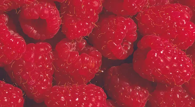 Raspberry